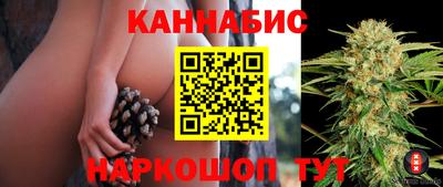 ECSTASY Донской