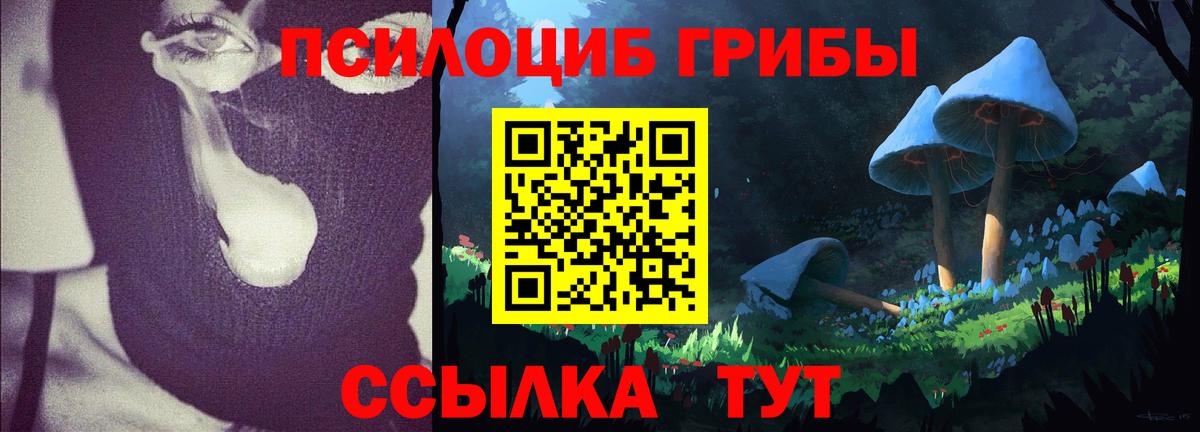Галлюциногенные грибы мухоморы  Вход с VPN  Галлюциногенные грибы GOLDEN TEACHER  Кудрово 